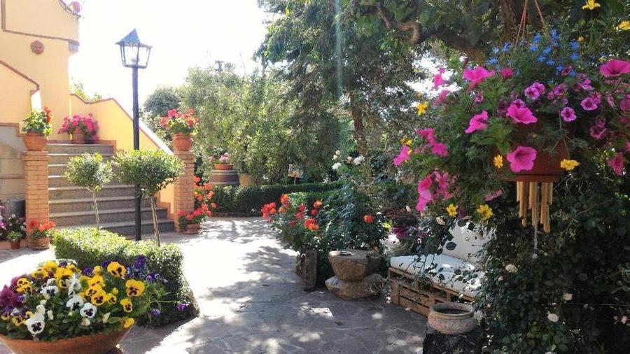 Bed And Breakfast Val Di Lupa Castellina Marittima Luaran gambar