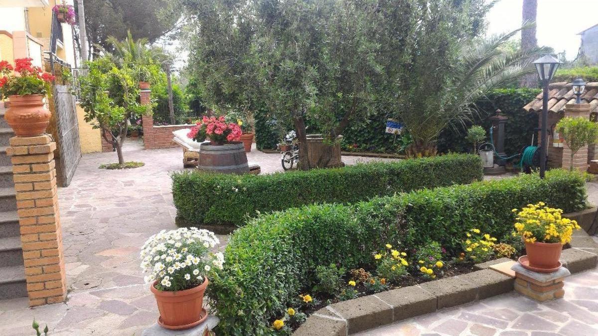 Bed And Breakfast Val Di Lupa Castellina Marittima Luaran gambar